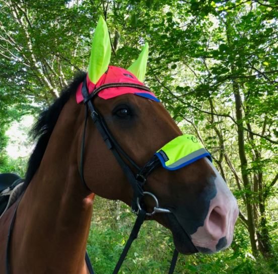 Equisafety Charlotte Dujardin Multi Coloured Horse Ears