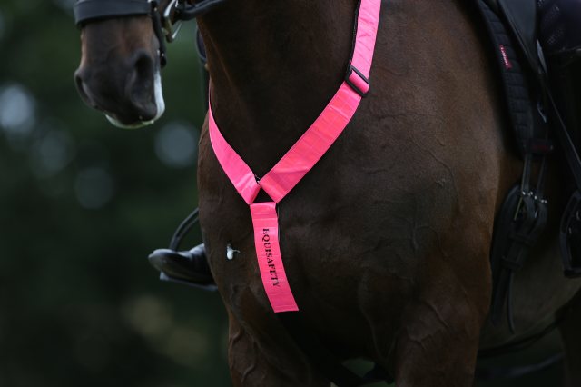 Equisafety Equisafety Adjustable Horse Neck Band Pink