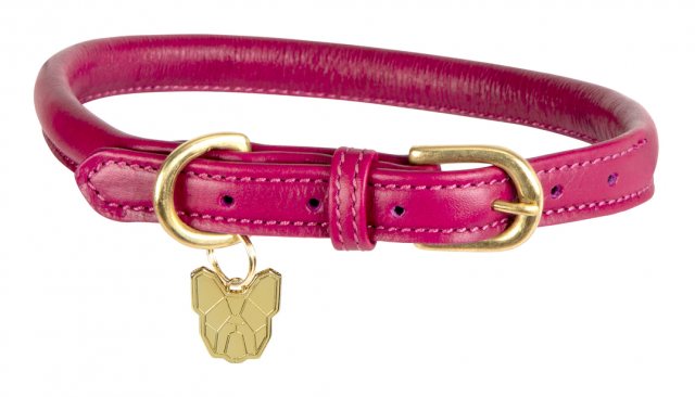 Weatherbeeta Rolled Leather Dog Collar XX Large – Weiches Rollleder-Halsband, Teal, Für Hunde Mit Langem Haar