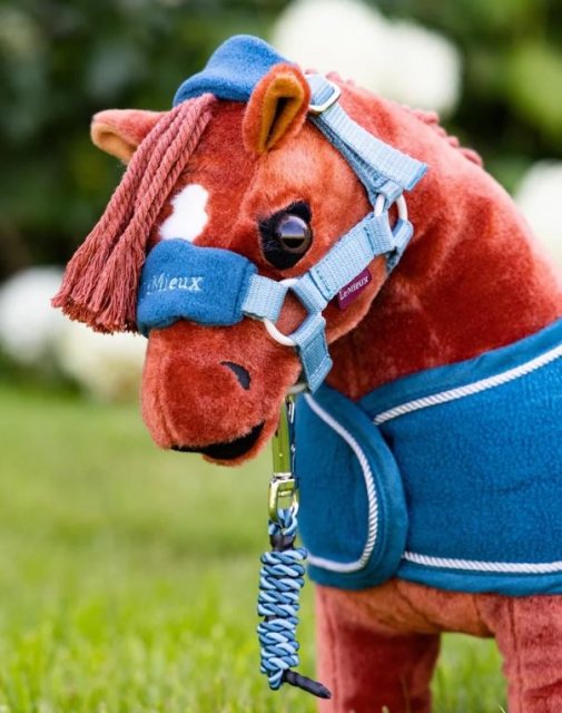 Le Mieux Mini Le Mieux Pony Headcollar