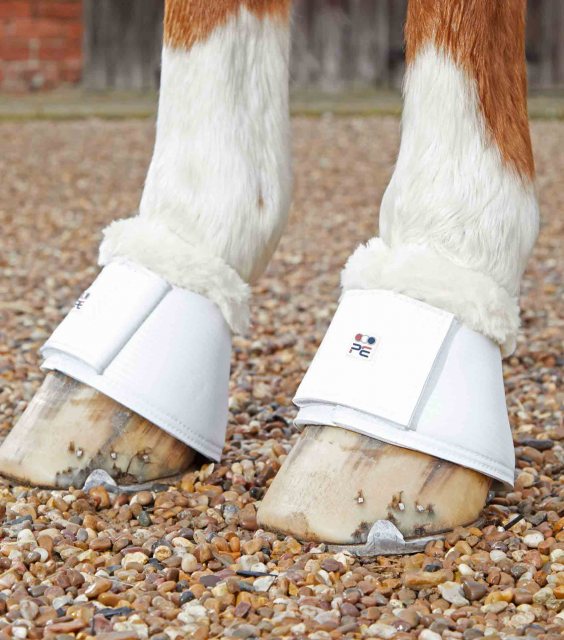 Premier Equine Premier Equine Carbon Tech Techno Wool Over Reach Boots White