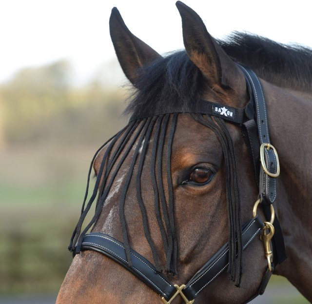 Saxon Saxon Fly Fringe Black