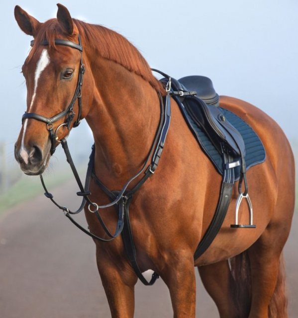 Horseware Horseware Micklem Breastplate with Martingale