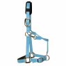 KM Elite KM Elite Luxury Padded Headcollar