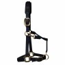 KM Elite KM Elite Luxury Padded Headcollar