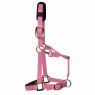 KM Elite KM Elite Luxury Padded Headcollar