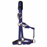 KM Elite KM Elite Luxury Padded Headcollar