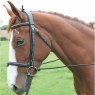 Shires Elastic Training Reins