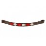 Pampeano - Argentine Browband