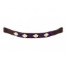 Pampeano Pampeano - Argentine Browband