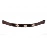 Pampeano Pampeano - Argentine Browband