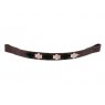 Pampeano Pampeano - Argentine Browband