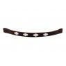 Pampeano Pampeano - Argentine Browband