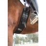 VenTECH Dressage Girth