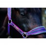 Horseware Horseware Rambo Padded Headcollar