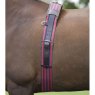 Shires Web Lunging Roller