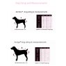 Dog blanket sizing guide