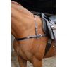 horse, bridle and saddle