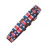 Pampeano - Leather Dog Collar 'GB'