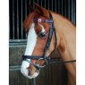 Horse with browband