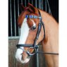 Celtic Equine Chukka