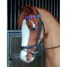 Celtic Equine Browband