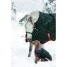 Horse in snow with dog