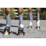 Horse wearing Pro Choice Spartan Bell Boots