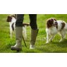 walking with dogs through a field