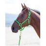 Shires Shires Nylon Padded Headcollar