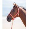 Shires Shires Nylon Padded Headcollar