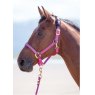 Shires Shires Nylon Padded Headcollar