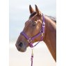 Shires Shires Nylon Padded Headcollar