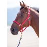 Shires Shires Nylon Padded Headcollar