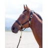 Shires Shires Nylon Padded Headcollar