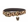 Detailed dog collar