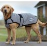 Dog wearing Weatherbeeta Comfitec Reflective Dog Coat Medium