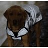 Weatherbeeta Weatherbeeta Comfitec Reflective Dog Coat Medium