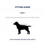 Fitting a dog coat