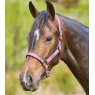 Weatherbeeta Weatherbeeta Ombre Headcollar