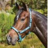 Weatherbeeta Weatherbeeta Ombre Headcollar