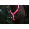 Equisafety Equisafety Adjustable Horse Neck Band Pink