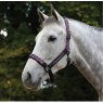 Weatherbeeta Leopard Headcollar