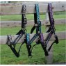 Weatherbeeta Leopard Headcollar