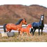 Breyer Breyer Spanish Mustang Family