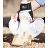 Premier Equine Premier Equine Magni-Teque Magnetic Hoof Boots