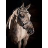 Le Mieux Le Mieux Arika Flash Bridle Black/Silver