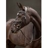 Le Mieux Le Mieux Arika Grackle Bridle Black/Silver