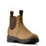 Ariat Ariat Women's Cooper Chelsea Boot Natural Taupe