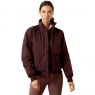 Chocolate Plum